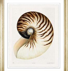 Meredith Martens Shell 4 28x32