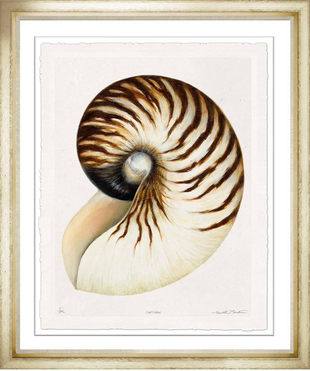 Meredith Martens Shell 4 28x32