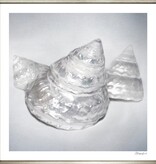 Pearl Shells 2 28" x 28"