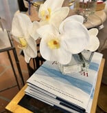 Phalaenopsis (4 blooms) in 3" Square-Faux Water (White)