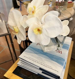 Phalaenopsis (4 blooms) in 3" Square-Faux Water (White)