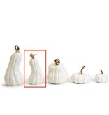White Pumpkins with Gold Stem LG