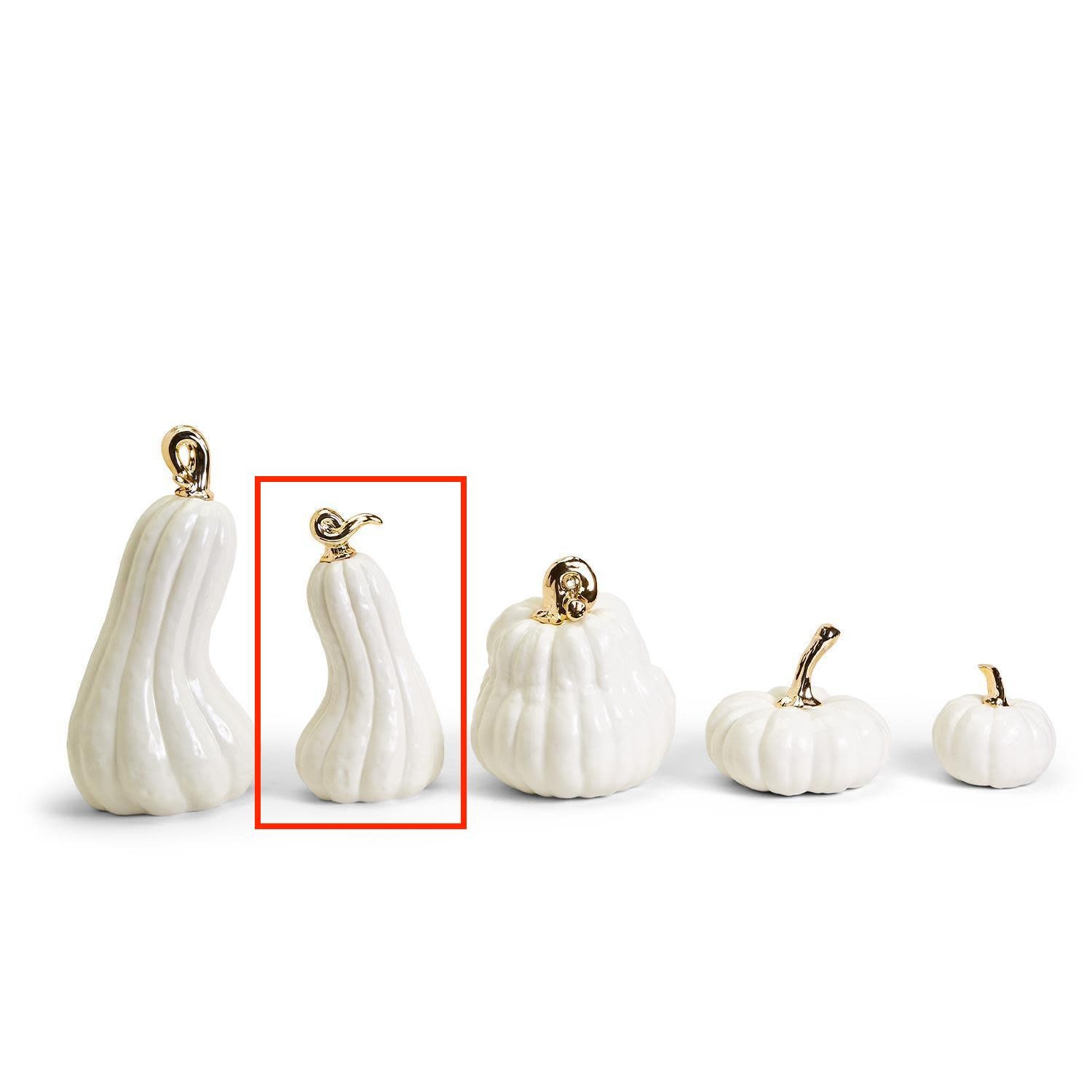 White Pumpkins with Gold Stem LG