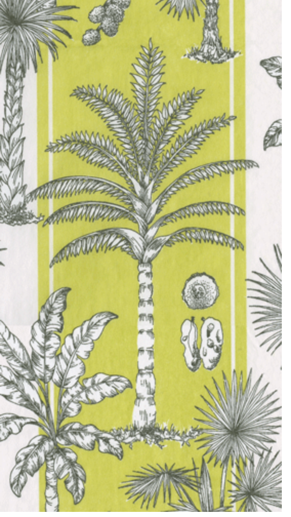 Southern Palms Green/white Guest Towel