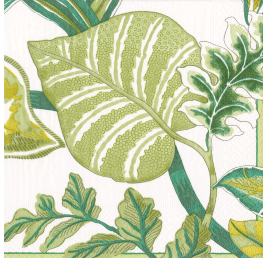 Florida-Ivory Napkin Luncheon