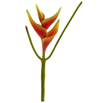 14" Mini Heliconia