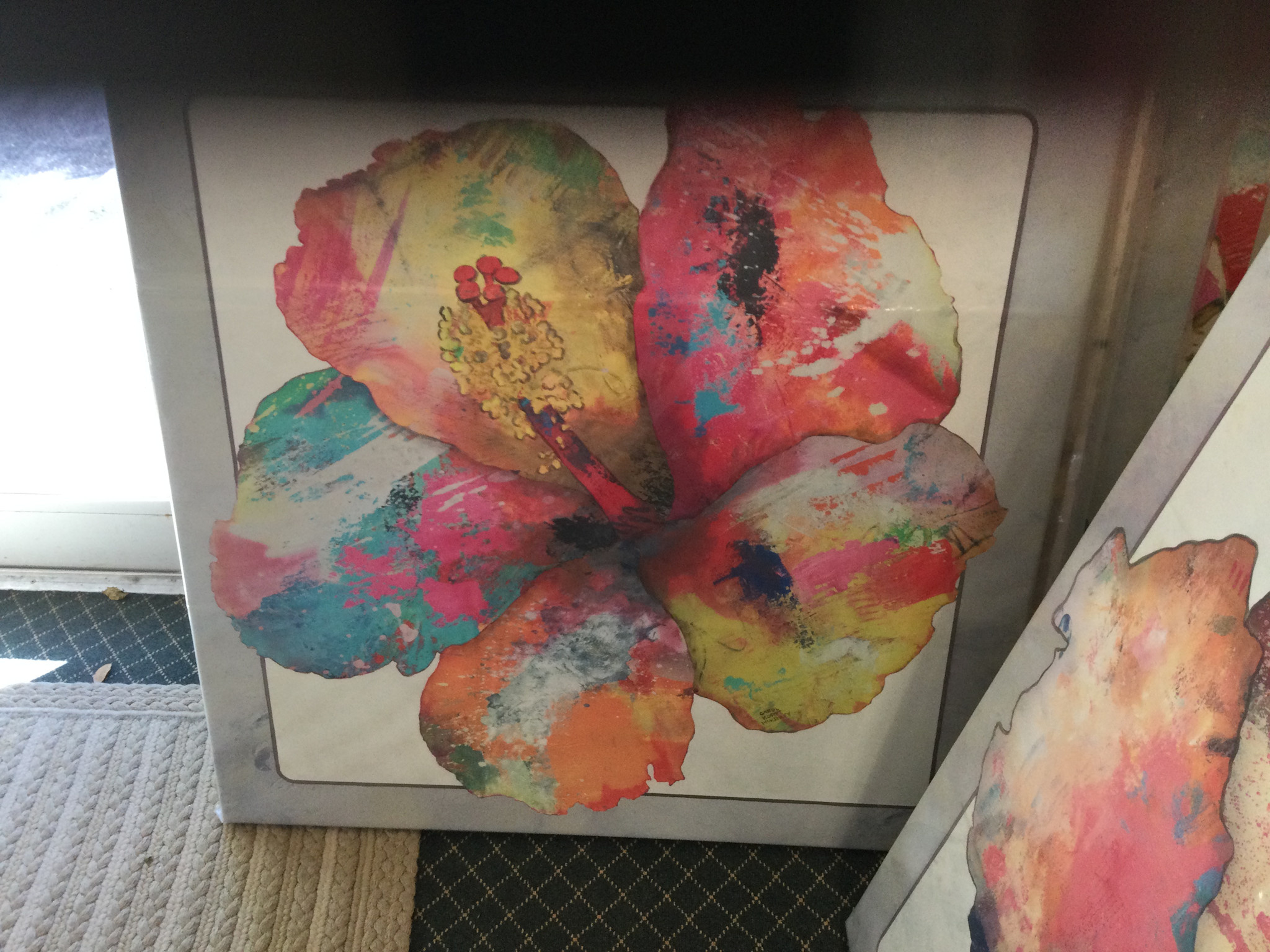 Multi Color Hibiscus 39 x 39