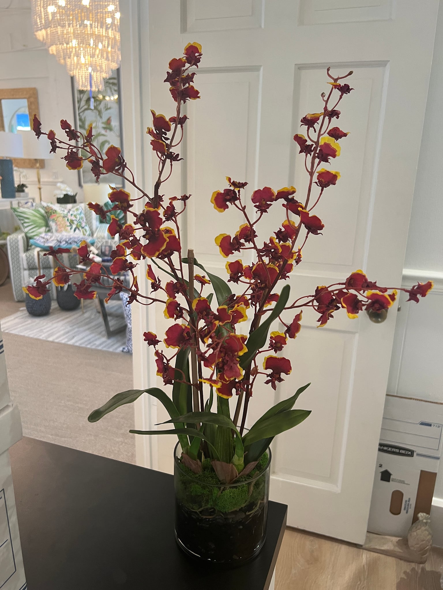 Oncidium Orchid in Faux Water-5" Cylinder (Burgundy)