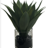 Agave in 5" Cylinder-Faux Water/Stones (Green)