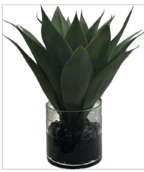 Agave in 5" Cylinder-Faux Water/Stones (Green)