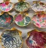 Decorative Large Shells Assorted