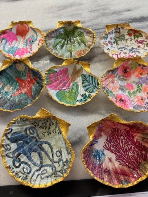 Decorative Large Shells Assorted