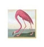 Audubon Birds Cocktail Napkin