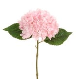 HYDRANGEA STEM 13'' (Pink)