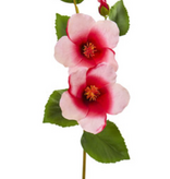 Hibiscus Flower - Pink Red