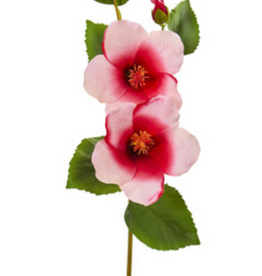 Hibiscus Flower - Pink Red
