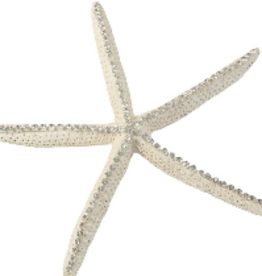 Large Starfish clear crystals