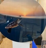 Turtle Sunkissed Round 12"