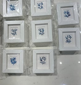 Blue and White Corals  - Original Watercolor Assortment -  4” x 4”