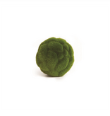 Mood Moss Orb 4"