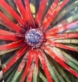 Sintra Flower Photography 16"x24"