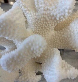Cauliflower Coral 9"