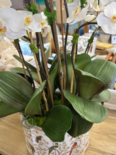 Phalaenopsis Orchids in Bird Planter Large