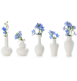 White Vases Traditional Shapes and Sizes