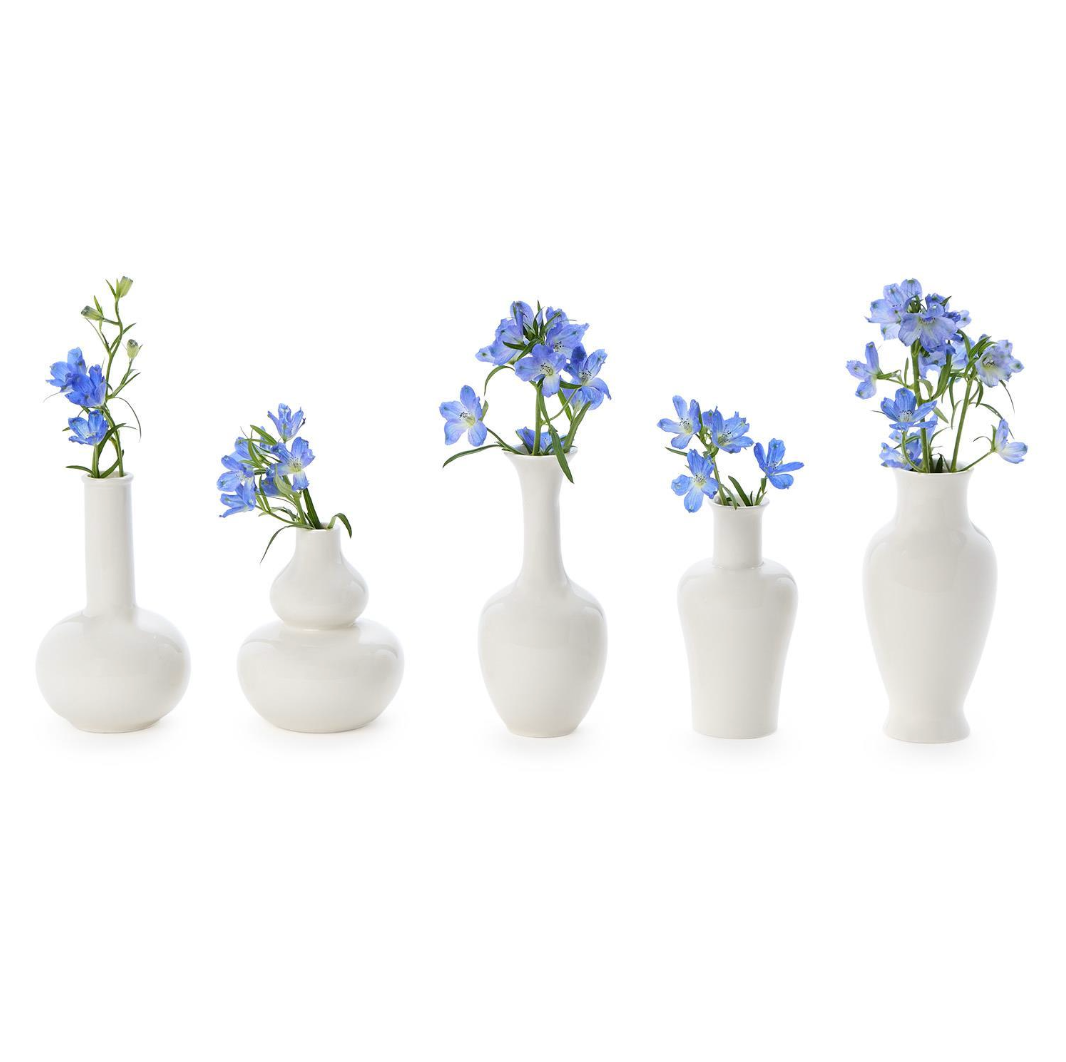 White Vases Traditional Shapes and Sizes