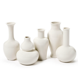 White Vases Traditional Shapes and Sizes