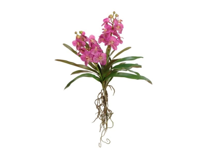 Vanda Orchid-(Fuschia)