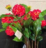 Dahlia Short Stem 20" - Yellow Red