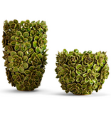 Succulents Vase-Large, 13 1/2" H x 9 1/2" Dia