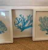 Set of Three Coral  Orig. Watercolor 13" x 13"