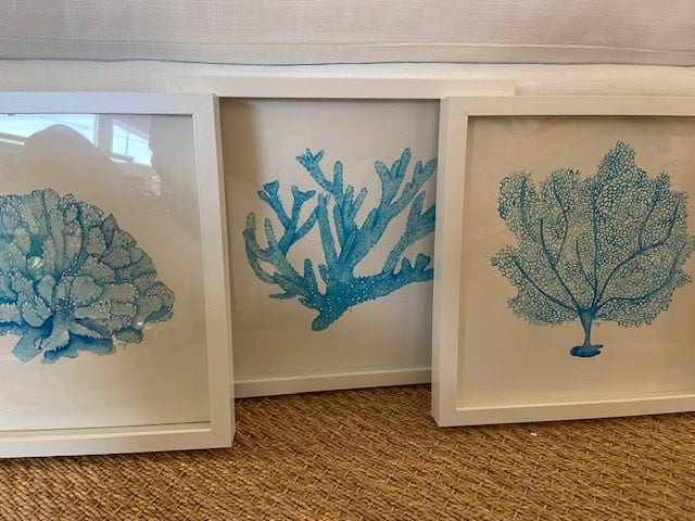 Set of Three Coral  Orig. Watercolor 13" x 13"