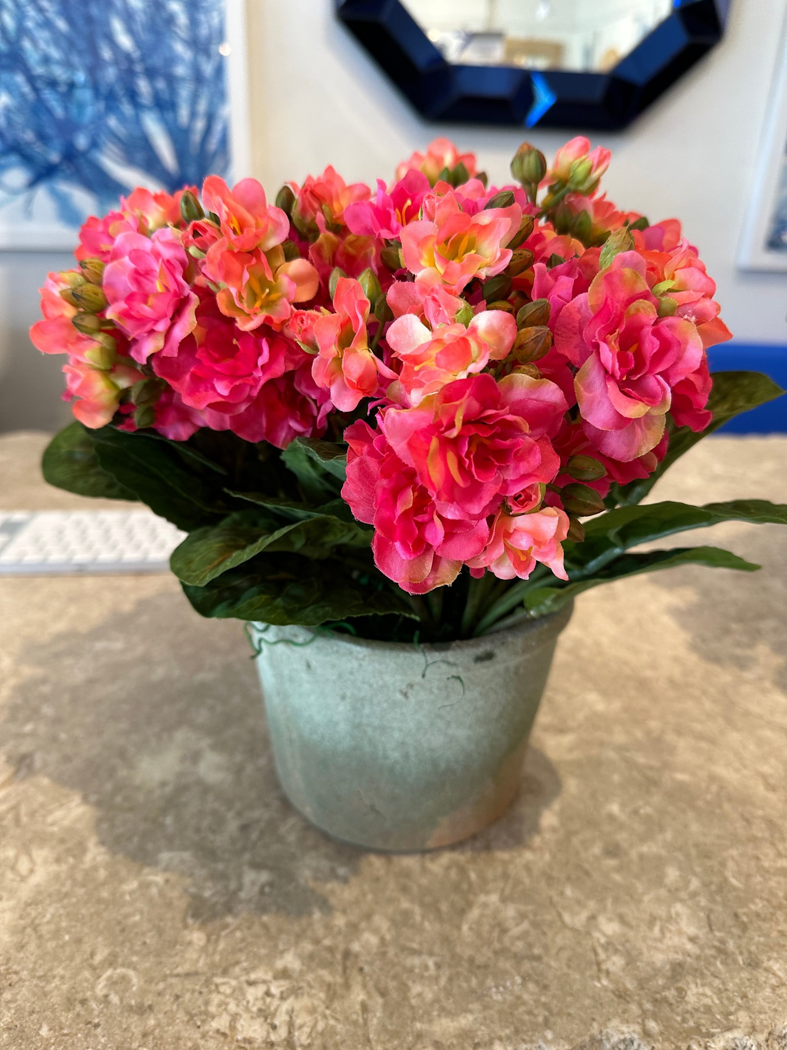 Kalanchoe in Weathered Pot, Large-American Beauty