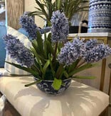 Hyacinths in Small  Life Bowl-Blue/Purple