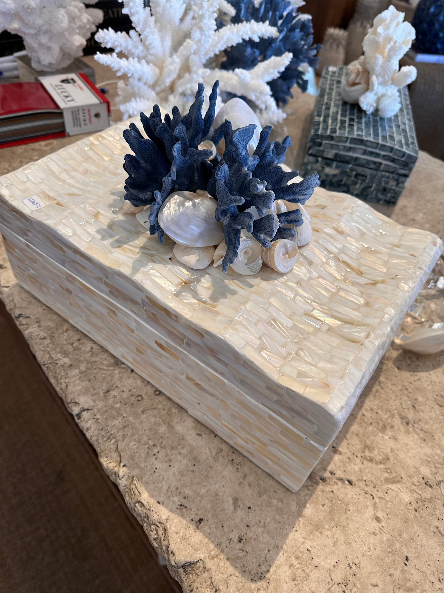 Bondi Beach Shell Box - 14" x 9"