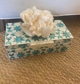 Turquoise Star Box w/Coral & Shells  12"Wx6"Wx4"H