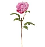 PEONY OPEN SH/ST 20.5'' (ORCHID)