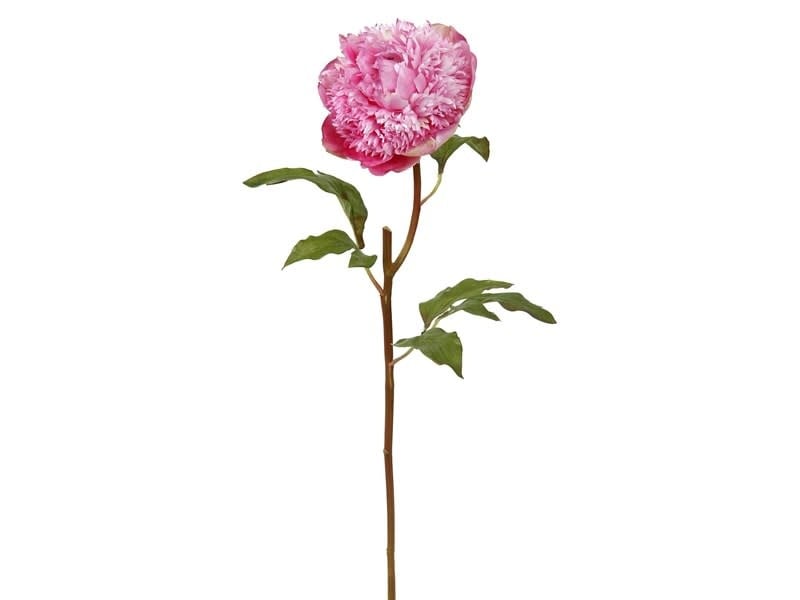PEONY OPEN SH/ST 20.5'' (ORCHID)