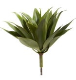 17” Agave Succulent Plant