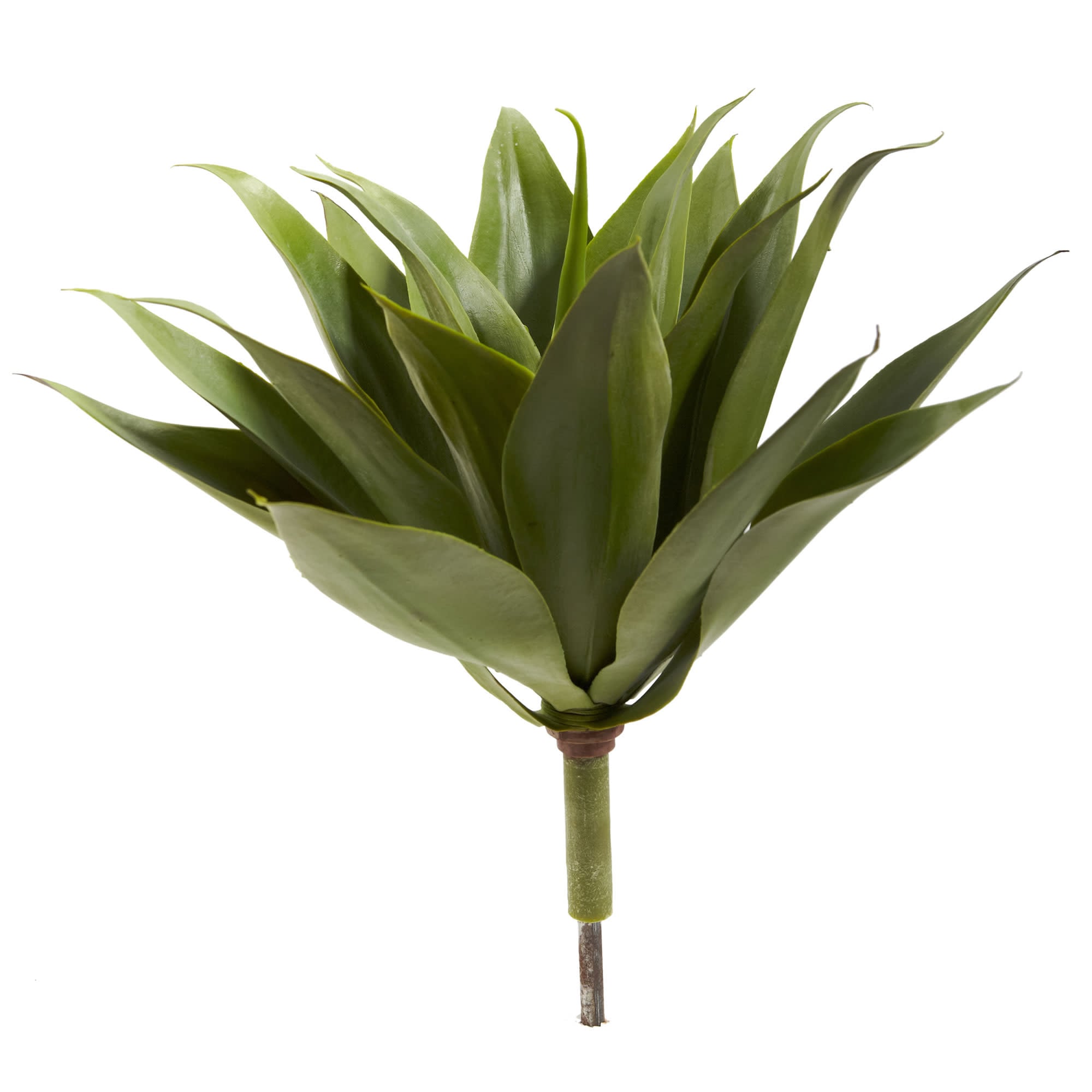 17” Agave Succulent Plant