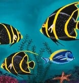 Trigger Fish on Acrylic 16"x16"