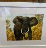 Elephant Print 22" x 18"