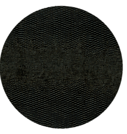 Black Lizard Coaster Round 8-In Felt