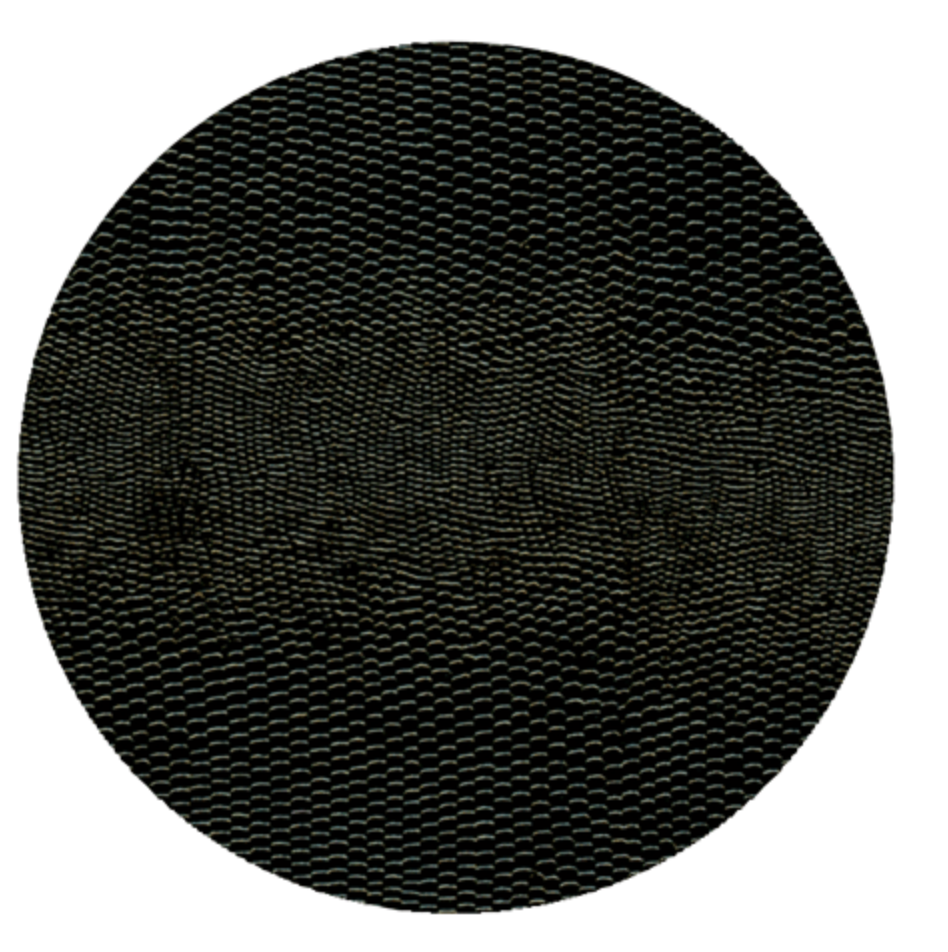 Black Lizard Coaster Round 8-In Felt
