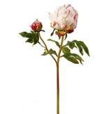 Peony Bud 21.5" Cream