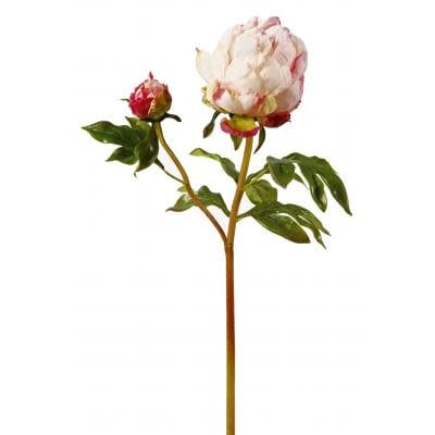 Peony Bud 21.5" Cream