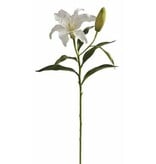 Lily 21.5'' White short